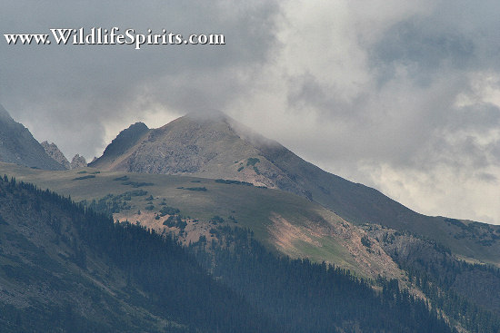 Click Picture to send as an  E-PostCard 64k 550x367